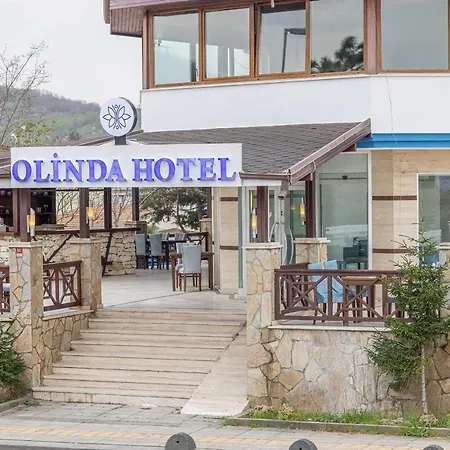 Olinda & * Шиле
